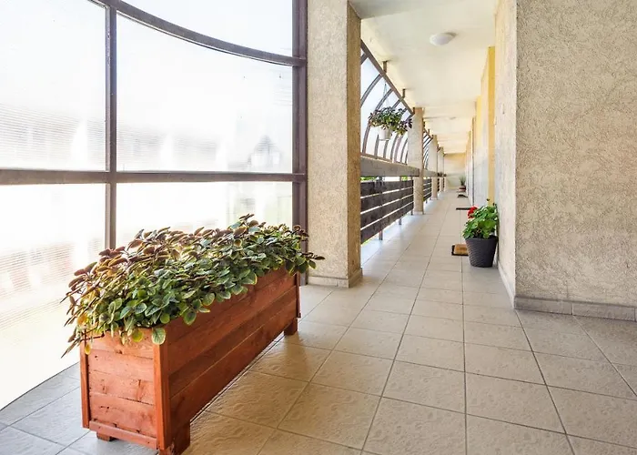 Lesna, Sun & Snow Хель